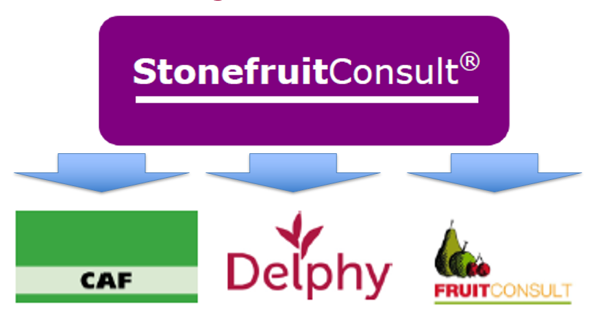 StonefruitConsult